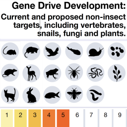 Non-insect gene drive targets thumbnail