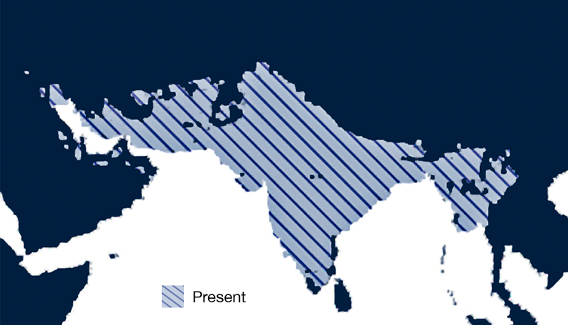 Map showing range of A. stephensi centuring on the Indian sub continent 