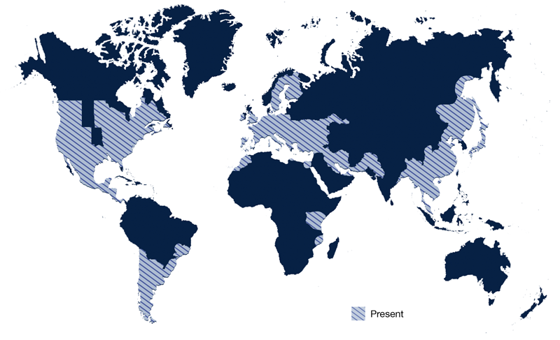 Global distribution of Drosophila suzukii