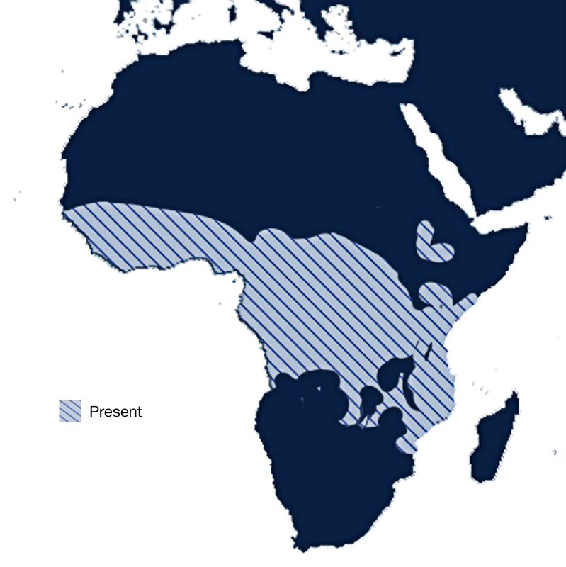Map of Africa showing range of the Glossina genus